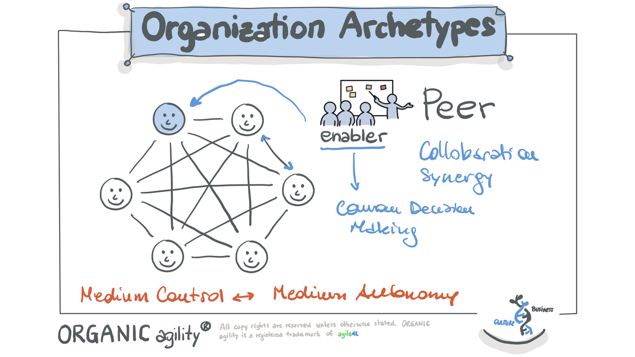 Organization Archetypes in ORGANIC agility